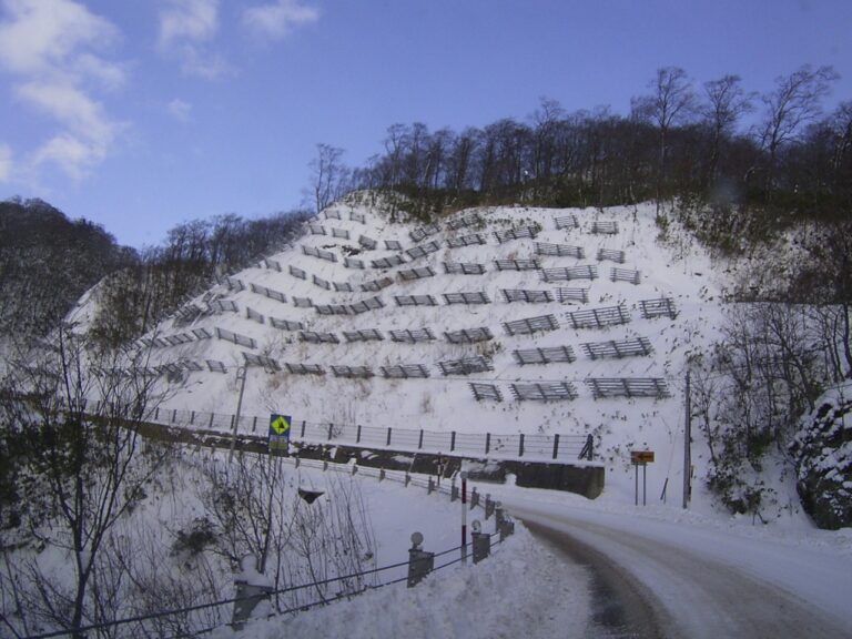 雪崩予防柵